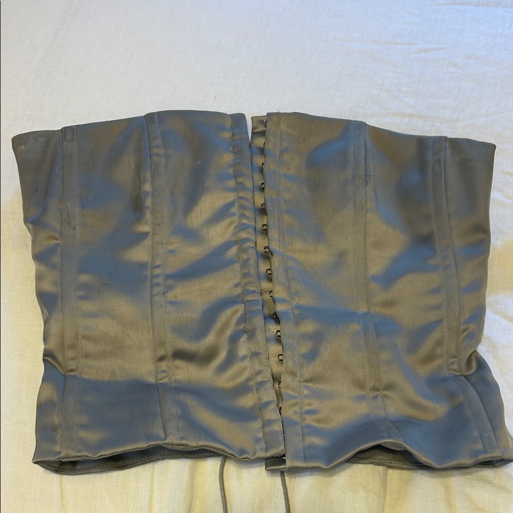 Danielle Guizio Gray Satin Corset Top